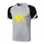 Camiseta de Entrenamiento Liverpool 2021-2022 Gris