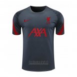 Camiseta de Entrenamiento Liverpool 2020-2021 Gris